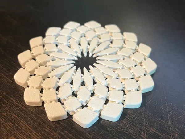 https://makerworld.bblmw.com/makerworld/model/US77937025f46230/design/2024-09-09_af1bb70180b3a.jpg