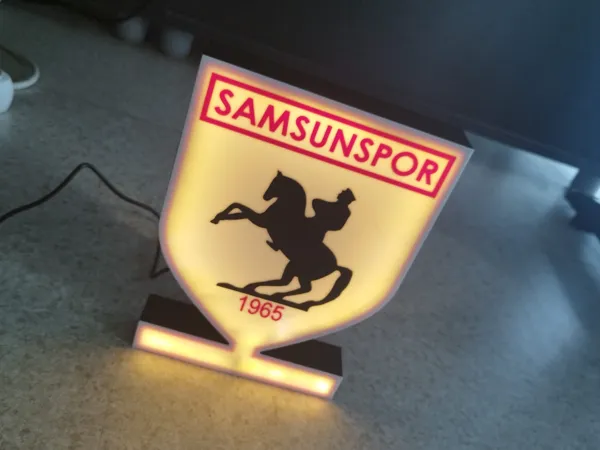https://makerworld.bblmw.com/makerworld/model/US7794bb4e9ae3be/design/2024-11-20_8c966bec59846.jpeg