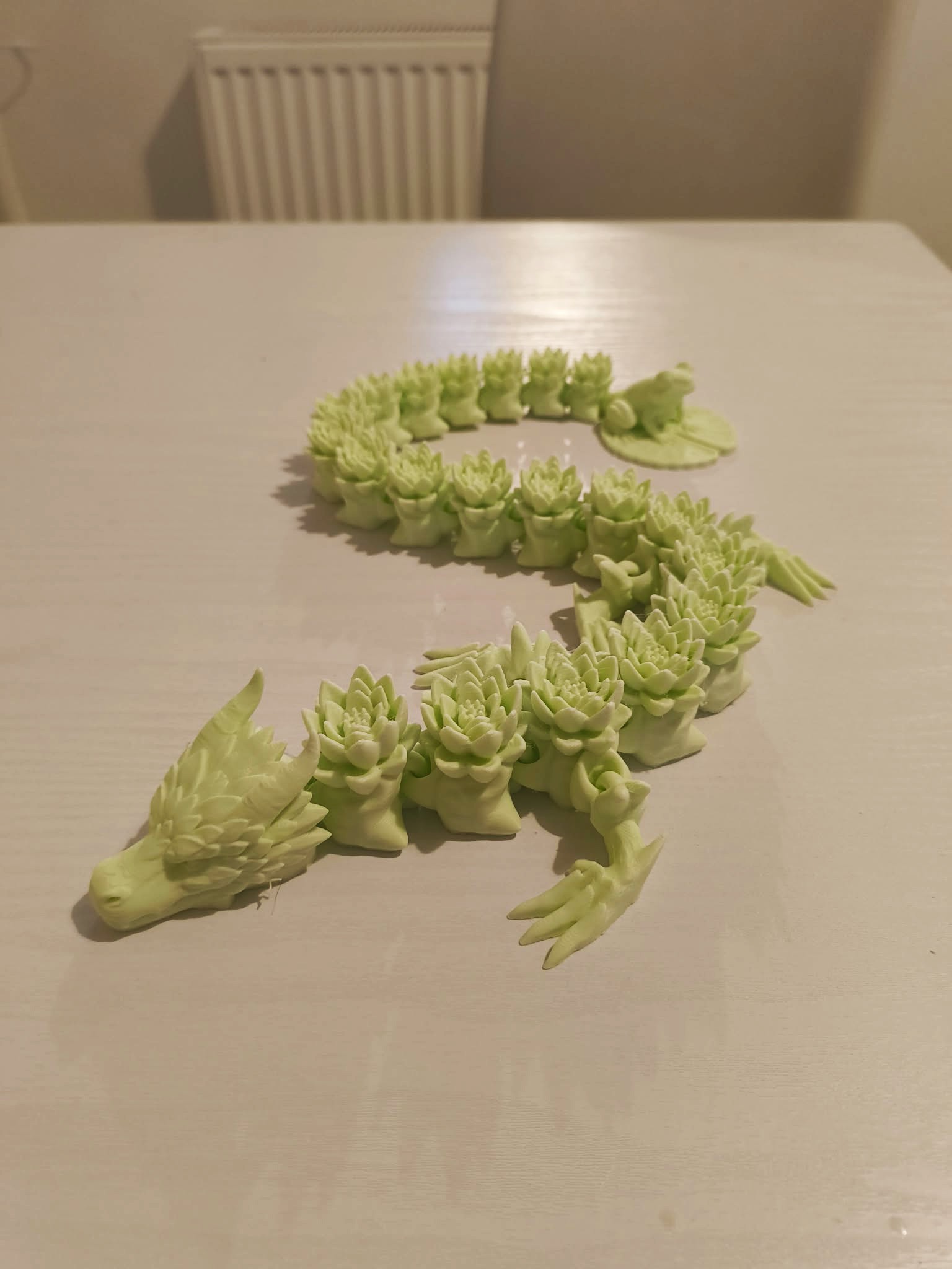 Foto 5