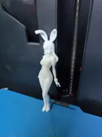 Figurine femme en costume de lapine — photo 2