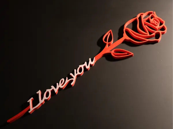 https://makerworld.bblmw.com/makerworld/model/US779f18c0e72693/design/2025-02-04_e23f08bbe497f.jpg