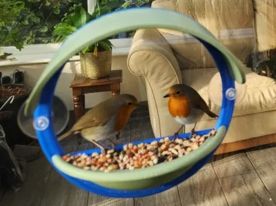 Window Bird Feeder Porthole Style