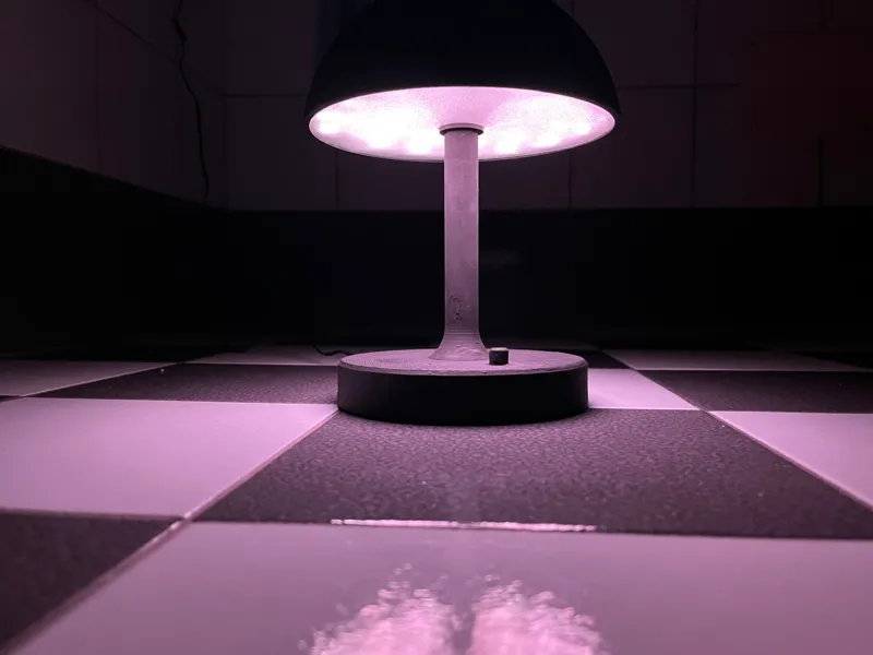 Govee Led Lamp