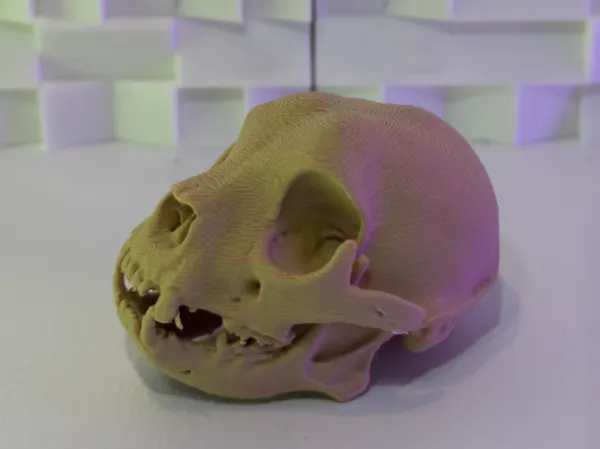 https://makerworld.bblmw.com/makerworld/model/US77a5b011b6c9f9/design/2025-11-01_c2d58207a20a98.jpg