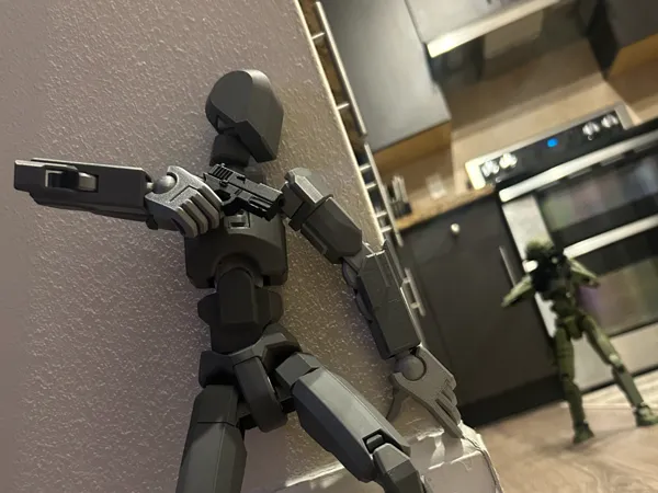 https://makerworld.bblmw.com/makerworld/model/US77ac7e59c1255e/design/2025-02-18_dc6fac601adc9.jpg