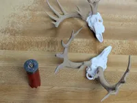 2 color, 0.16mm layer, added loop for hanging