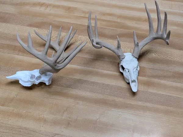 https://makerworld.bblmw.com/makerworld/model/US77aceb73463f2d/design/2025-10-21_ca98525bbcece.jpg