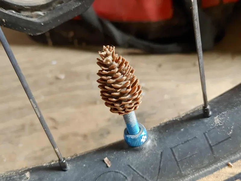 Pinecones Valve Cap V2