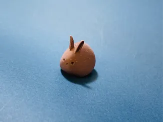 小さなウサギ