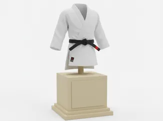 Judo Gi (kimono)