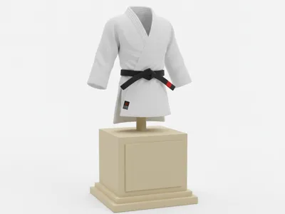 Judo Gi (kimono) 