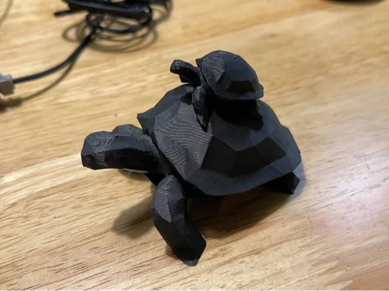 Cute Turtle 2.0