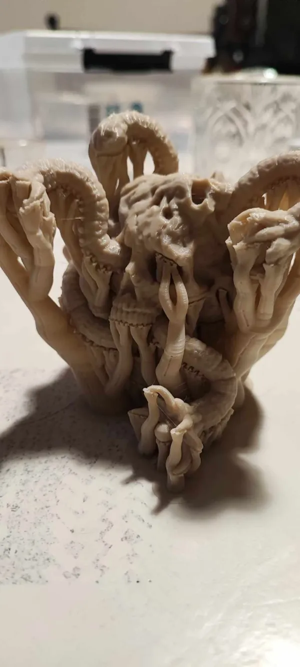 https://makerworld.bblmw.com/makerworld/model/US77b64d4da73813/design/2024-02-11_da71ec17ba887.jpg