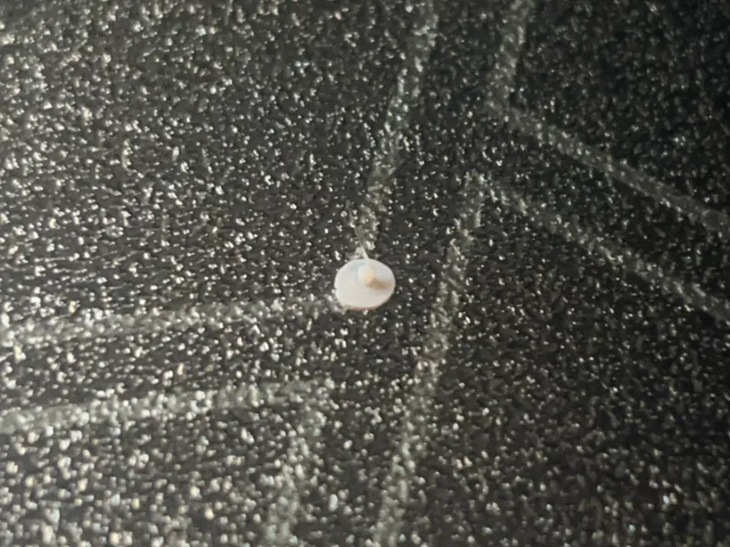 Just a dot.