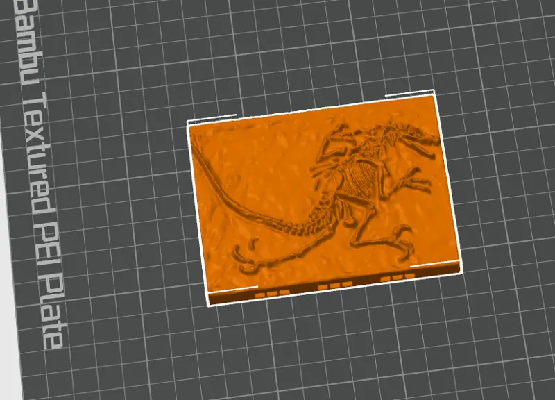 velociraptor_bones