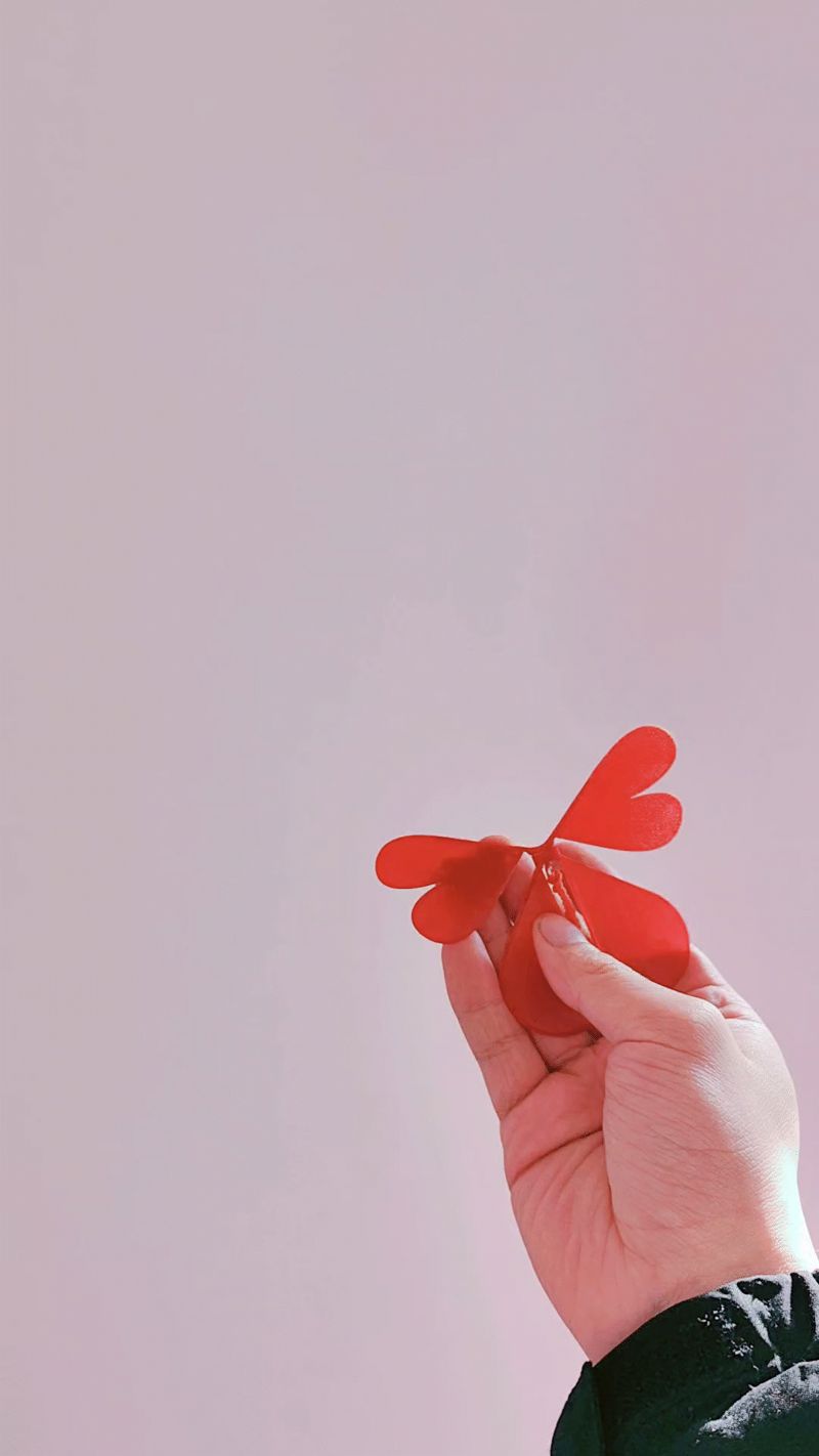 舞蝶-love fly