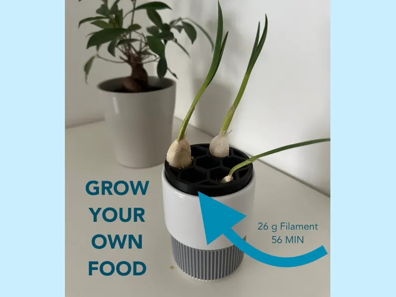 Onion Grow Cup Hex Corcelain Porcelain
