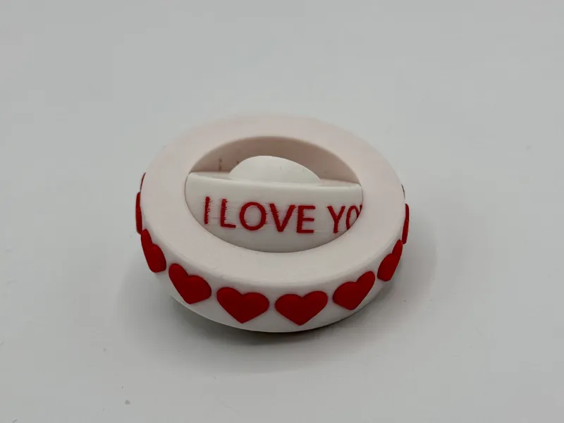 Secret Message "I Love You" Valentine Gyro Fidget 