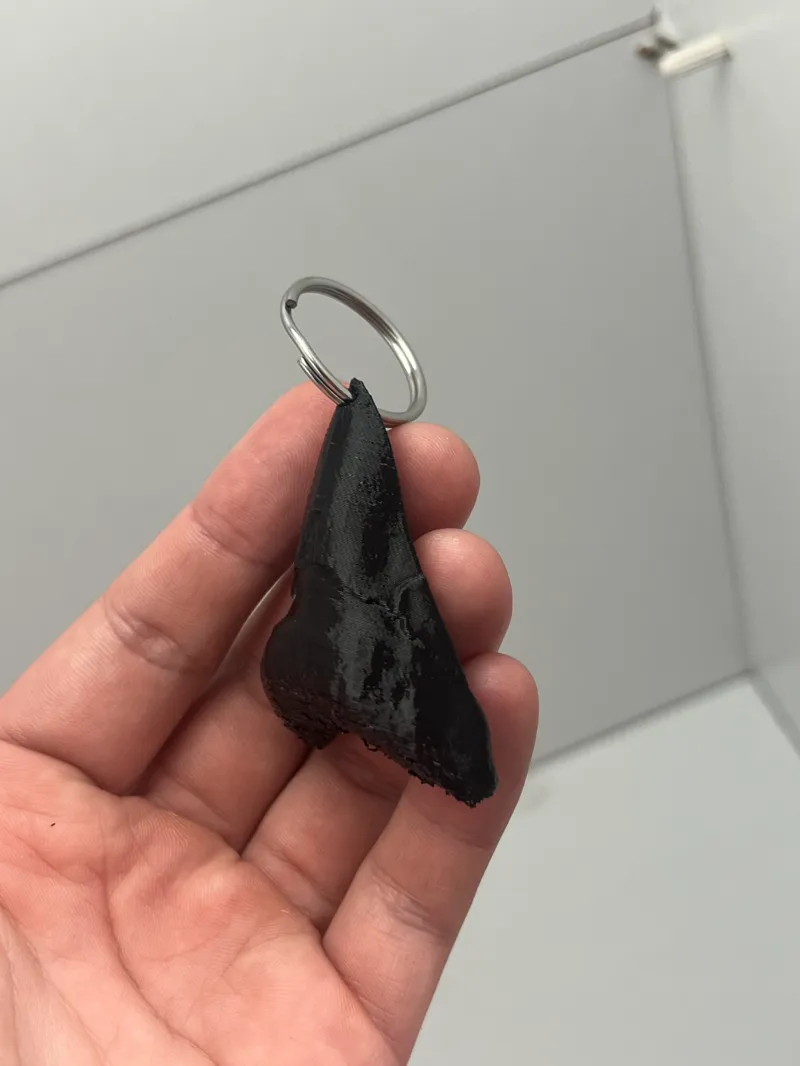 shark tooth keychain