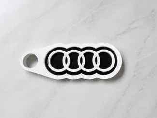 audi keychain