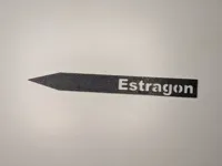 Estragon