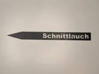 Schnittlauch
