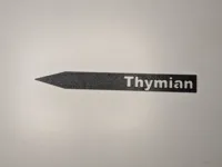 Thymian