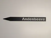 Andenbeere