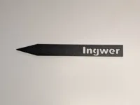 Ingwer