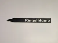 Ringelblume