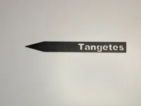 Tangetes
