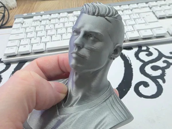 https://makerworld.bblmw.com/makerworld/model/US77cbdc75f2ee54/design/2026-01-14_386904fb9788a.jpg