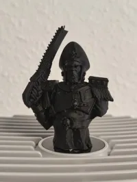 0.08mm layer, 2 walls, 15% infill