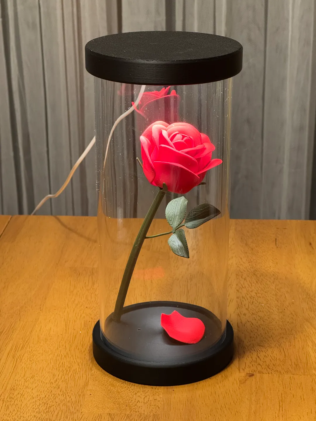 roses with 5 types of stem ( no support ) view 4