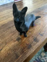 Cute Dog
