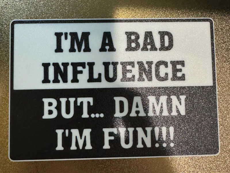 I'm a Bad Influence But Damn I'm Fun