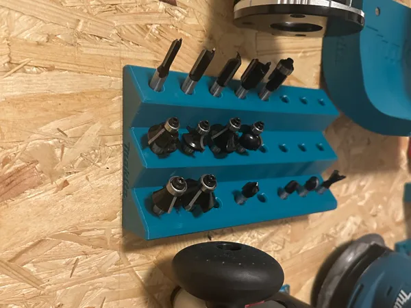 https://makerworld.bblmw.com/makerworld/model/US77de357118151b/design/8b4585097a97e0f2.jpeg