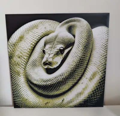 Snake - HueForge