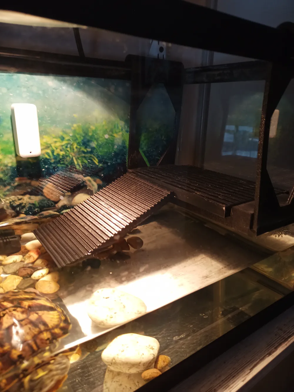 3d Print Turtle Ramp Modular Turtle Climbing Platform by Madary PrintsMakerWorld: Download ...