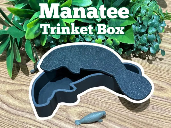 https://makerworld.bblmw.com/makerworld/model/US77e76fc89a5dc2/design/2025-03-14_18491b676da6d.jpg