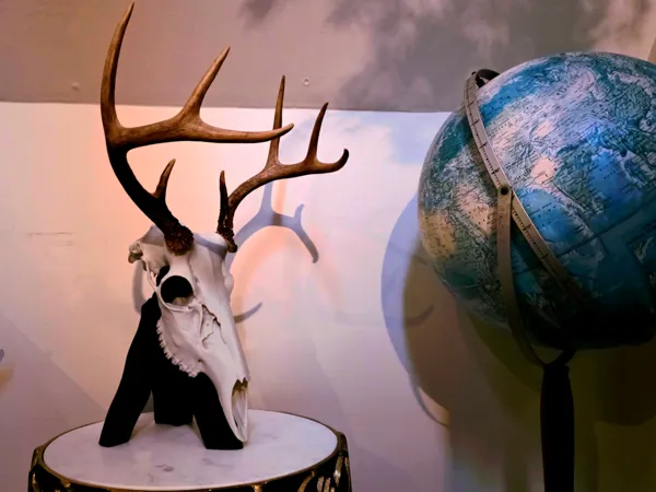 https://makerworld.bblmw.com/makerworld/model/US77e927e5747280/design/2025-05-10_bb2f18b5d125e8.jpg