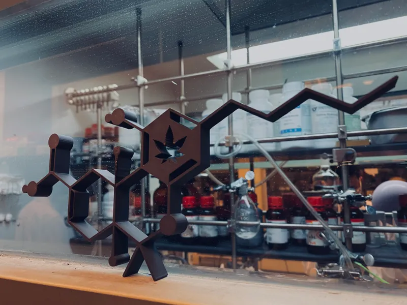 THC-COOH Molecular Model 分子結構