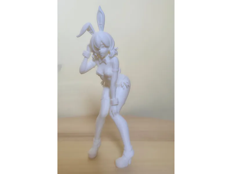High detailed Bunny Girl