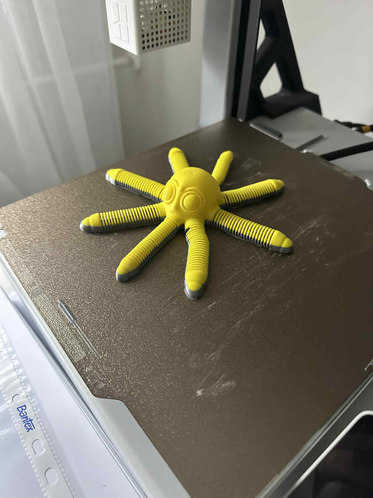 FULL color 0.2mm layer, 2 walls, 10% infill