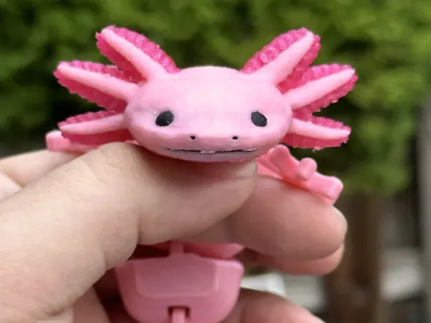 Multi Color Articulated / Flexi Axolotl