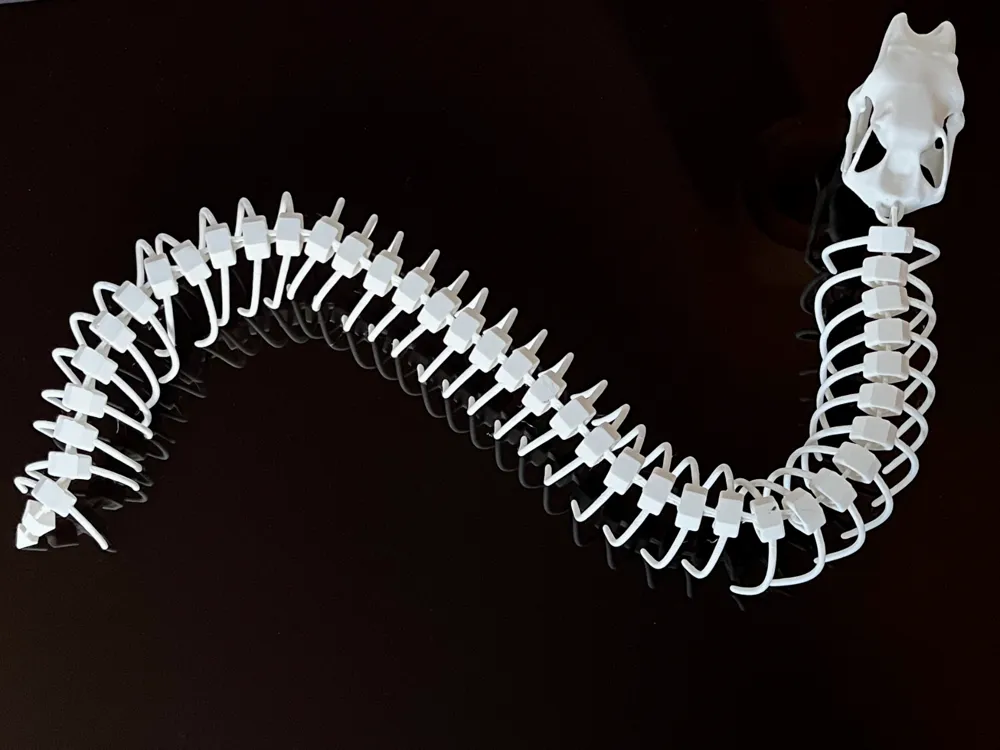Articulated Snake Skeleton by Bofonchio - MakerWorld