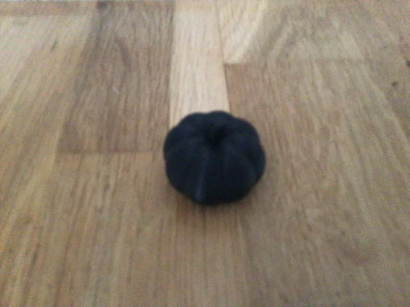A pumpkin