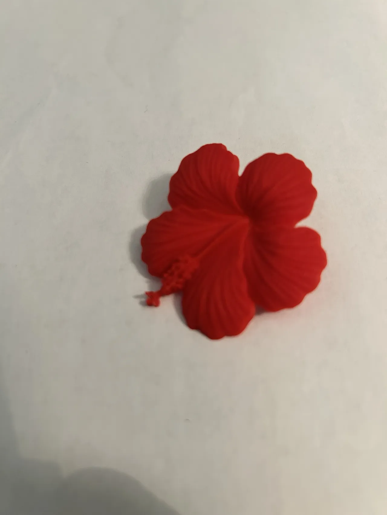 Tropical Hibiscus Flower Earrings view 2