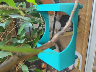 Chameleon feeder