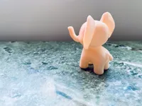 Bébé éléphant — photo 3